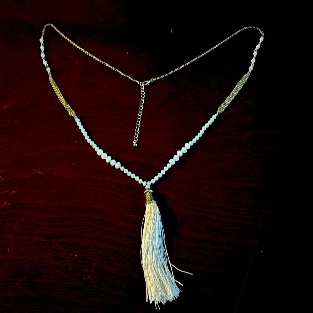 Tassle Statement necklace